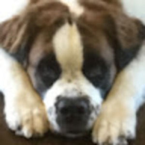 Meet your Posher, Aubree